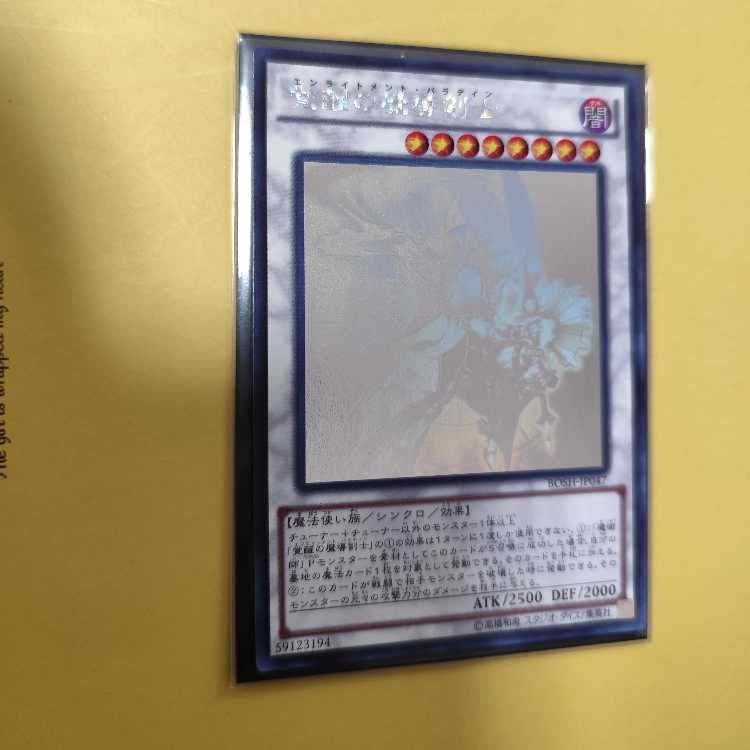 Enlightenment Paladin holographic rare JP047