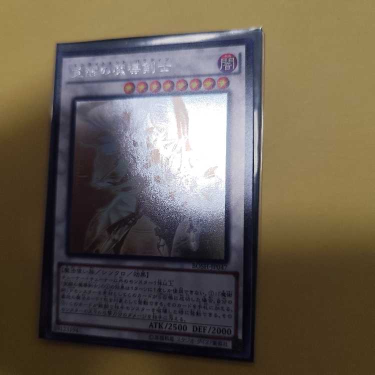 Enlightenment Paladin holographic rare JP047