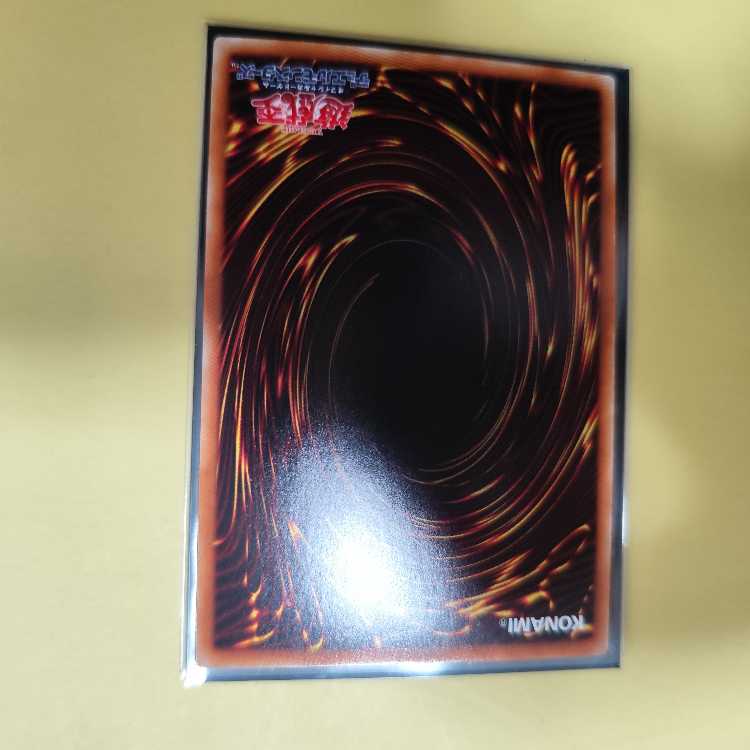 Enlightenment Paladin holographic rare JP047