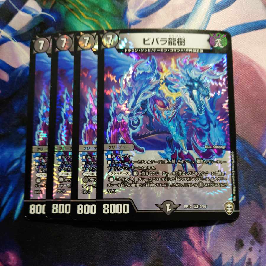 ビバラ龍樹 VR 3/95