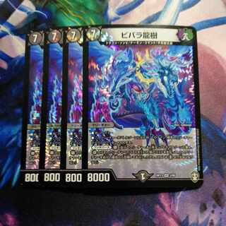 ビバラ龍樹 VR 3/95