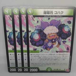 爆翠月 コハク C 74/76