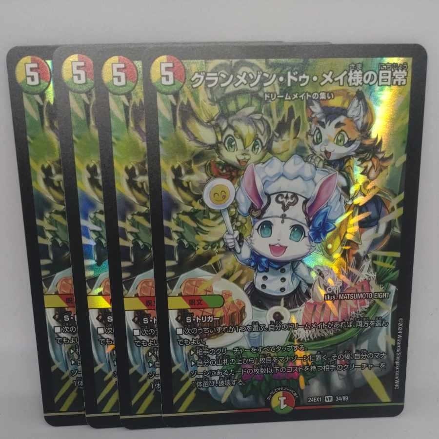 Daily life of Grand Maison de Rosa VR 34/89