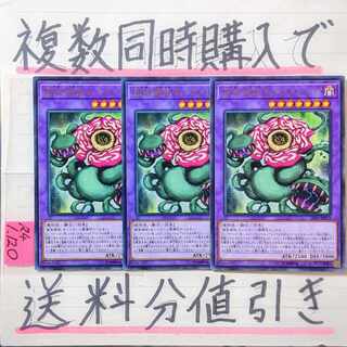 Predaplant Chimerafflesia Character Rare x 3 Yu-Gi-Oh 3) Predator Plants