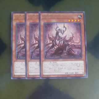 Rare SUDA-JP015✕3 [Korindo