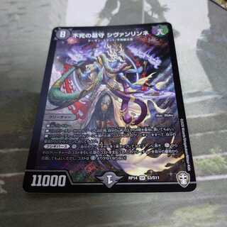 不死の墓守 シヴァンリンネ