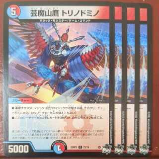 Geima Mountain Hawk Torino Domino Effect C 72/74