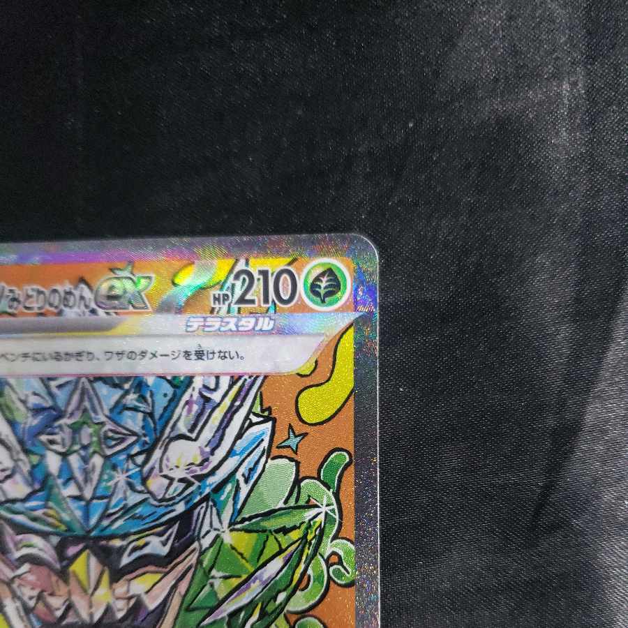 Augapon Midori no Men ex SAR 201/187