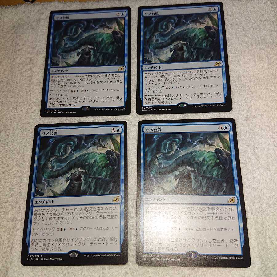 イコリア サメ台風