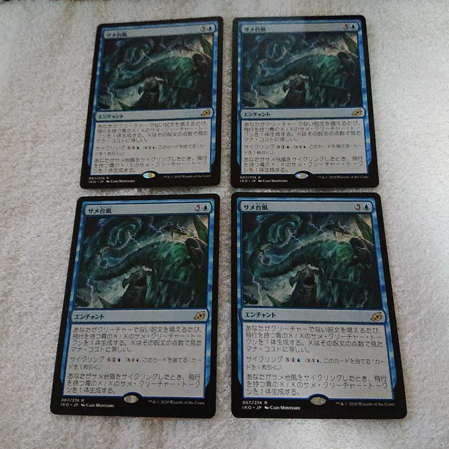 イコリア サメ台風