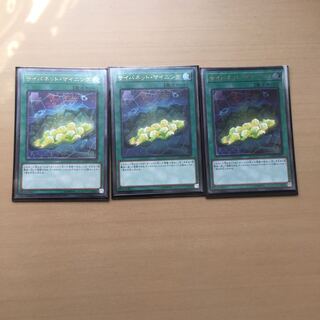 サイバネットマイニング