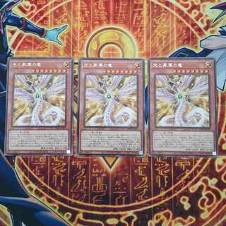 光と昇華の竜 レア INFO-JP010