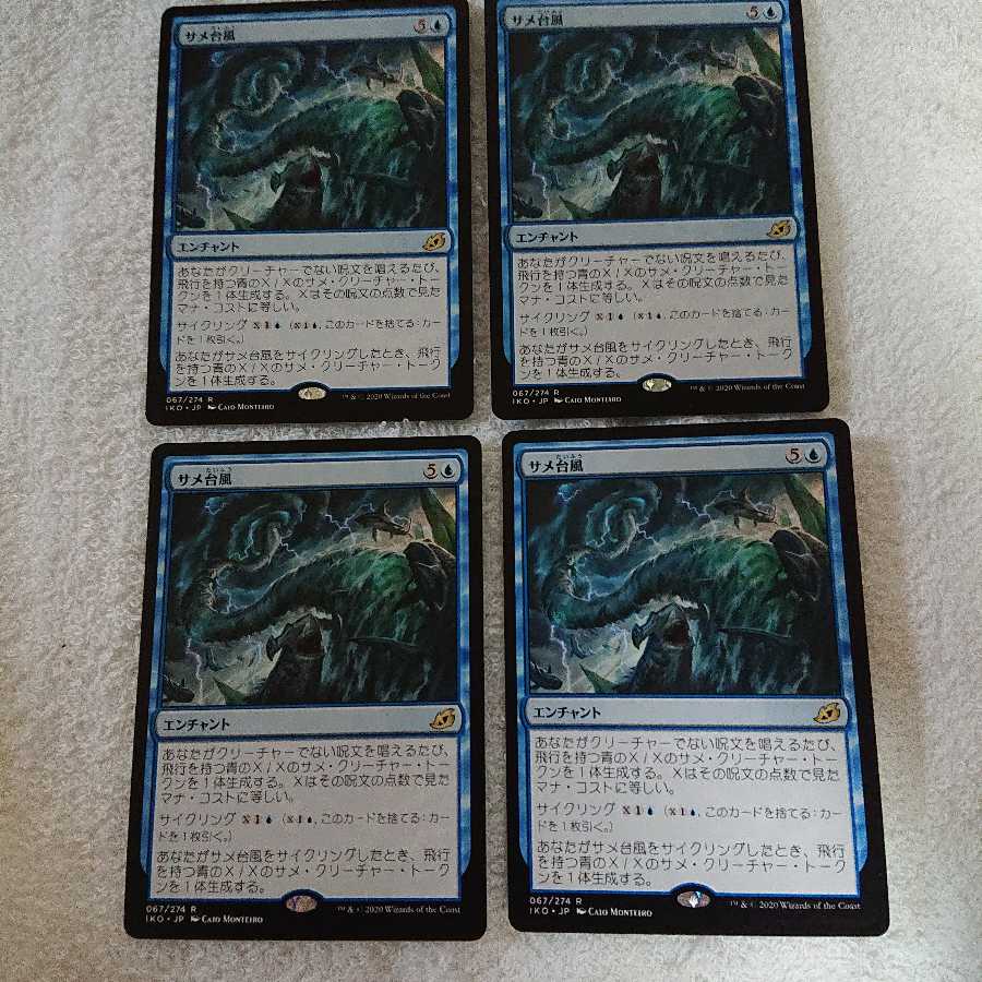 イコリア サメ台風