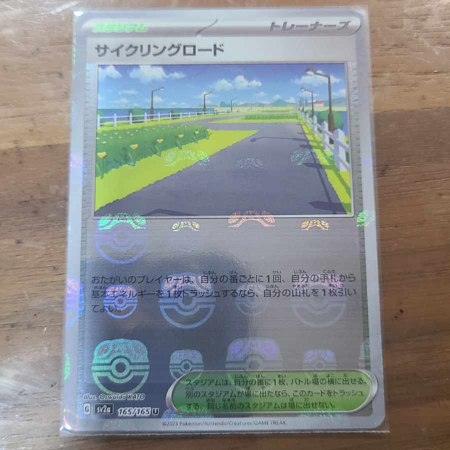 Cycling road (Master Ball pattern/mirror spec.) U 165/165