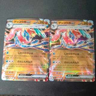 Greninjaex RR Set of 2