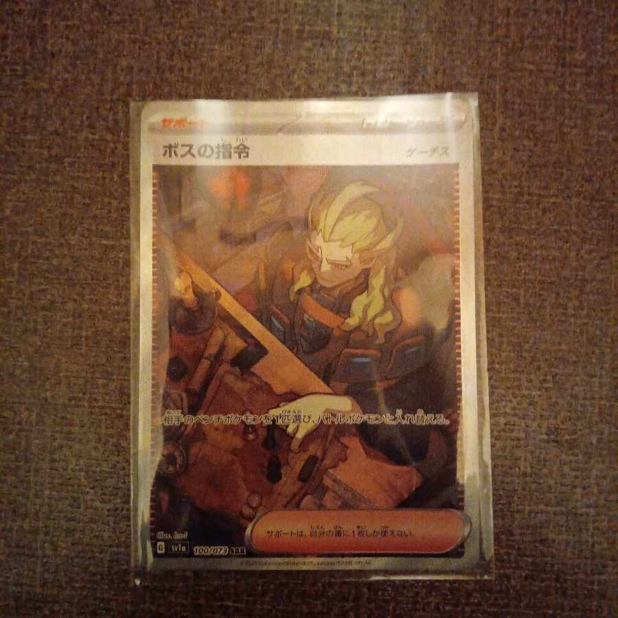 Boss's directive [Ghetsis] SAR 100/073