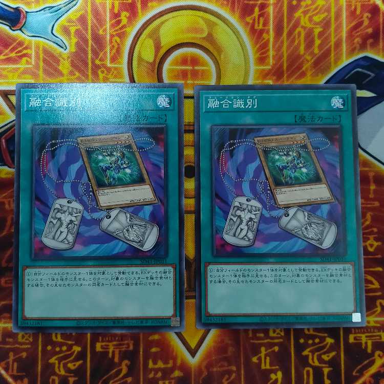 Fusion Tag Normal JP031