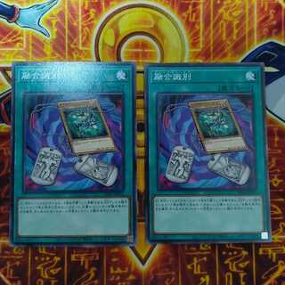 Fusion Tag Normal JP031