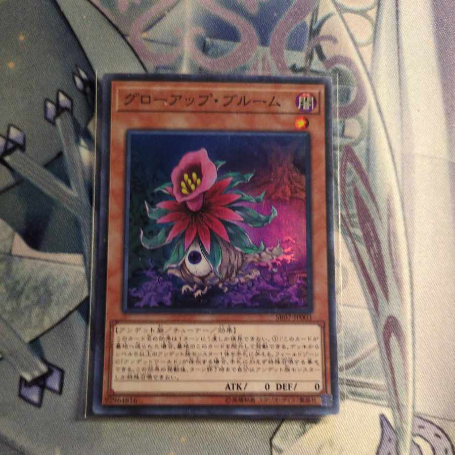 Glow-Up Bloom Super Rare JP003