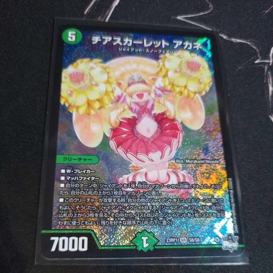 Cheer Scarlet Whitney SR S8/S8