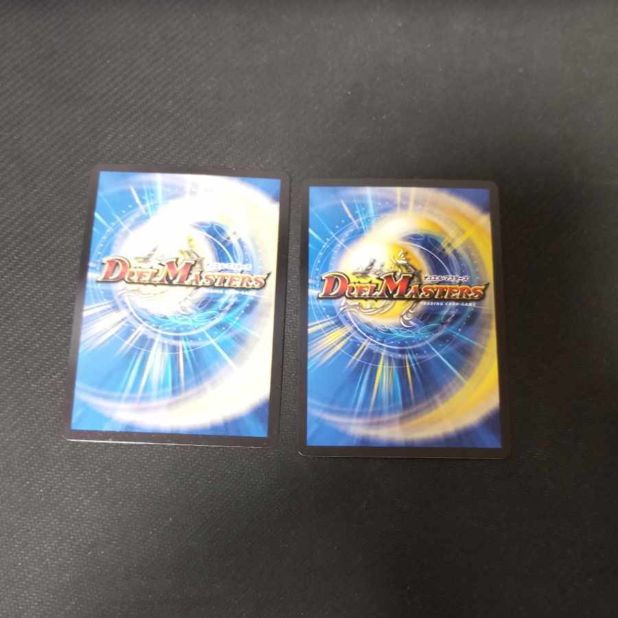 Dragon-armored ship Gokuga Reuser SE S4 (secret)/S10 2 copies