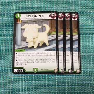 シロイヌムサシ ４枚セット