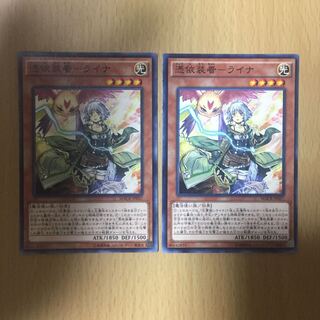 憑依装着-ライナ NR 2枚