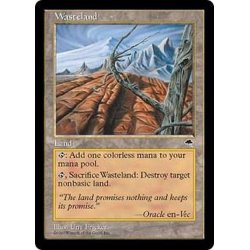 EX]不毛の大地/Wasteland《英語》【TMP】の通販 カードラッシュ magi店 