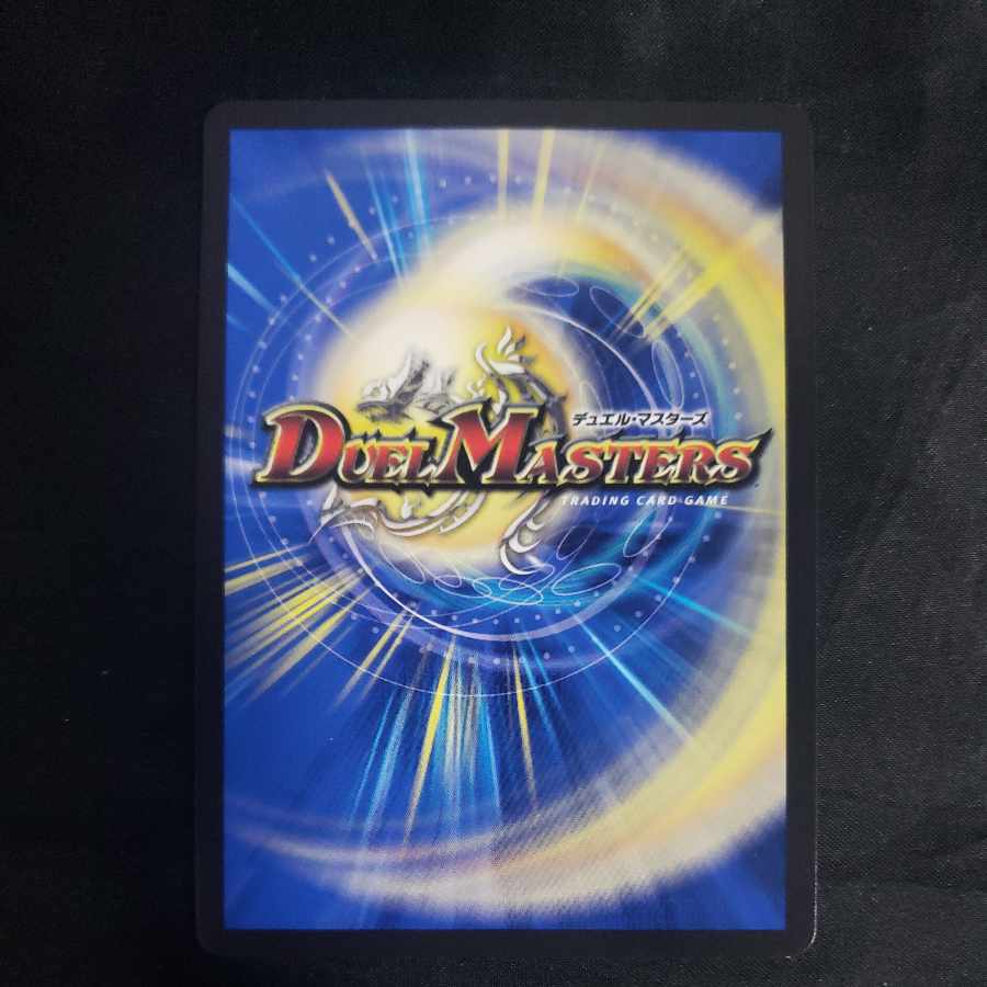 Bear 4WD Bear Shigara SR 3/15