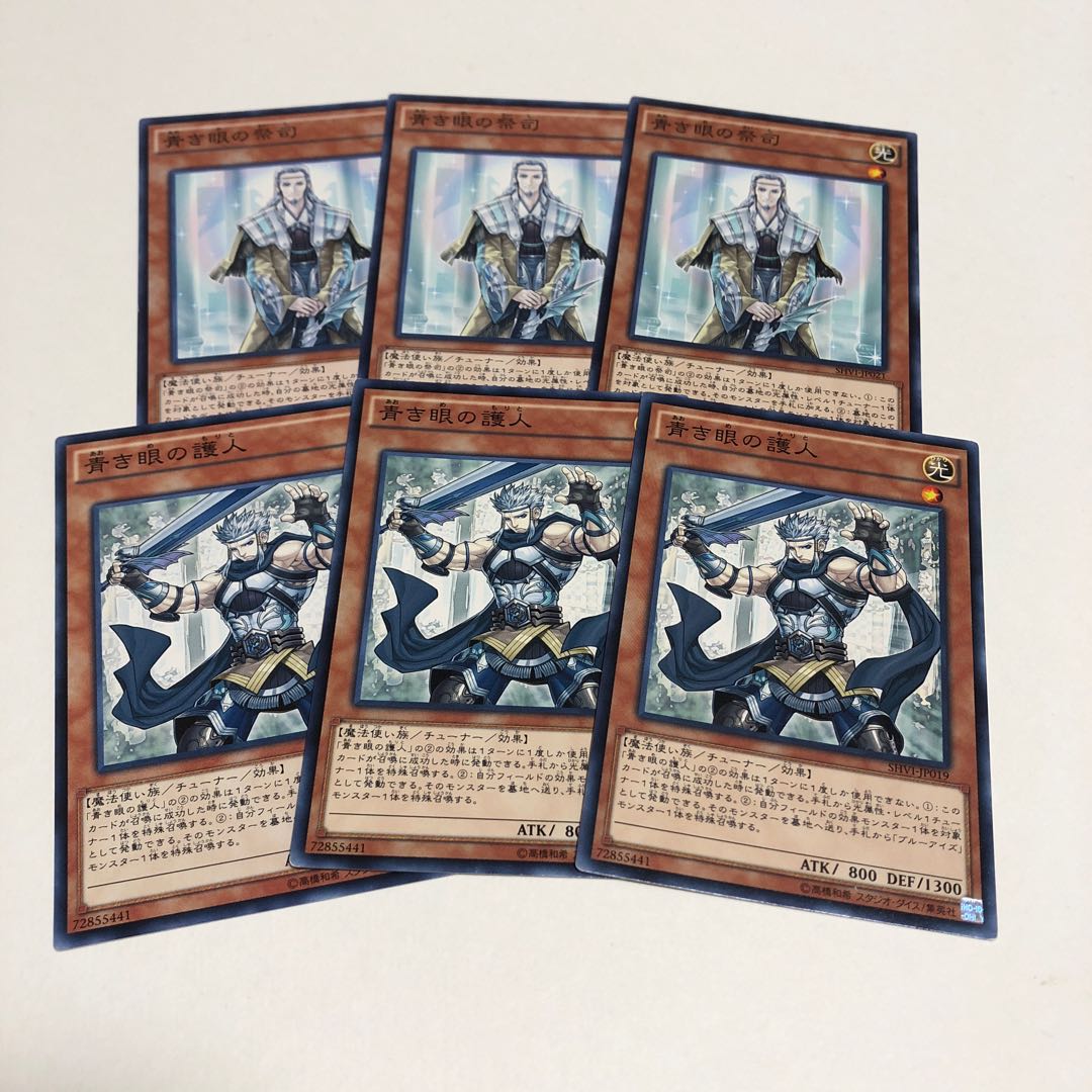 青き眼の祭司 N 青き眼の護人