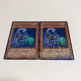 魔轟神獣キャシー R