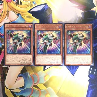 RR-ペイン・レイニアス R 3枚