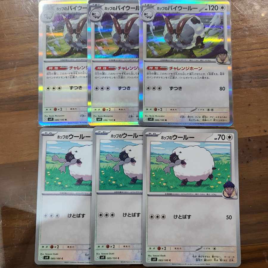 Dubwool R 086/100 in Hop