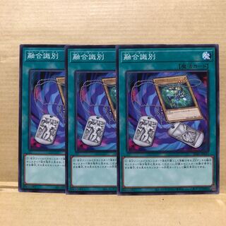 Fusion Tag normal 3 sheets Mahoko .