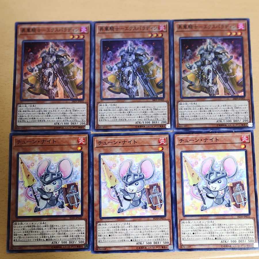 Consecrate Knight Ex Paladin & Tune Knight Set of 3