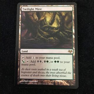 【issu0624様専用】黄昏のぬかるみ SHM 英