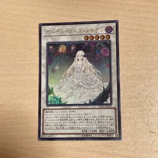 ガーデン・ローズ・メイデン UR