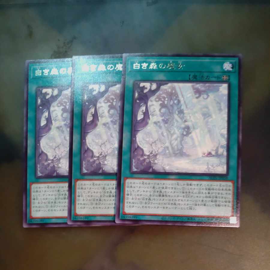Witch of the White Forest rare ALIN-JP058✕3 [Korindo
