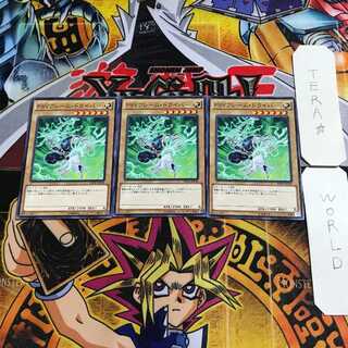 PSY-Frame Driver 10 Normal, set of 3 Tera.