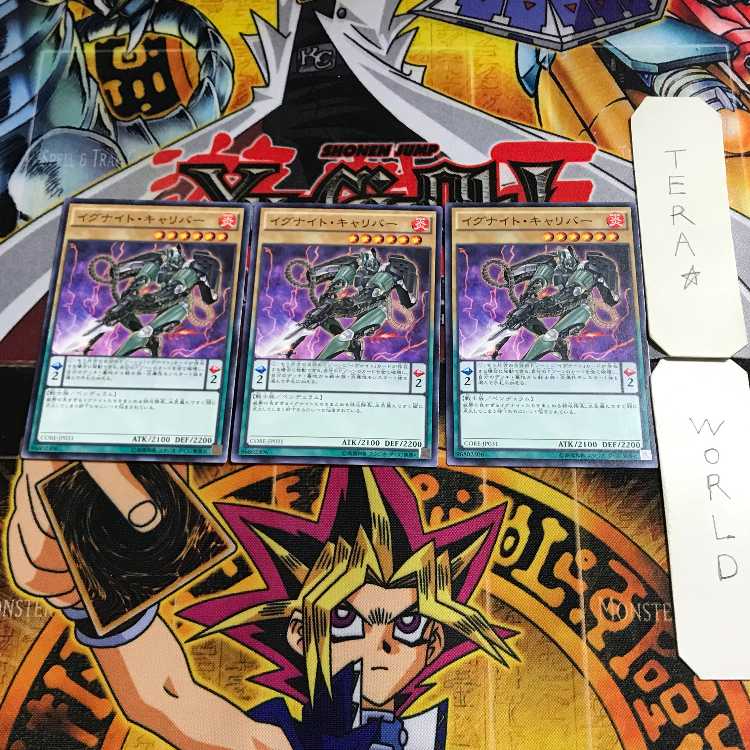 Igknight Gallant 10 Normal, set of 3 Tera.