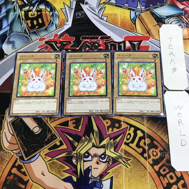 Bunilla 1 Normal, set of 3 Tera