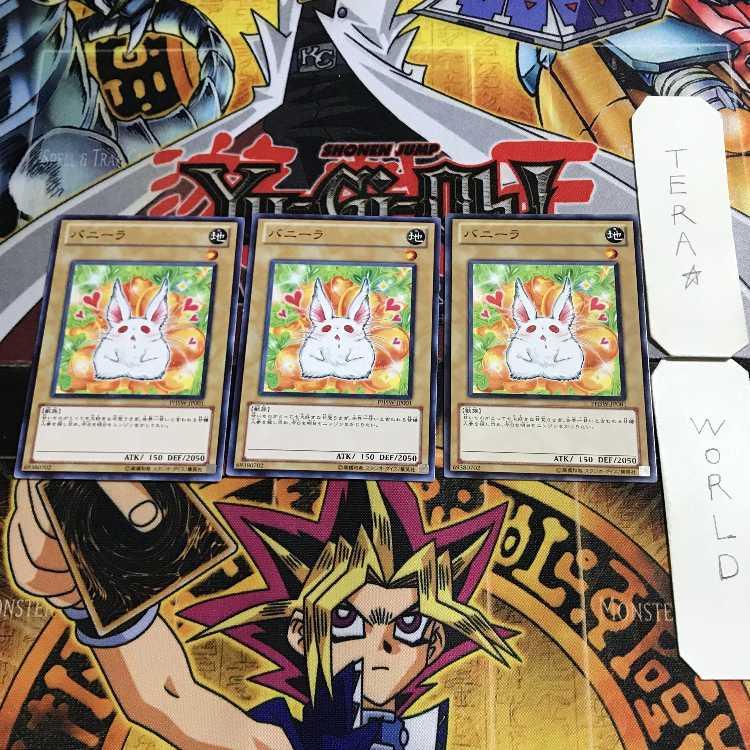 Bunilla 3 Normal Set of 3 Tera