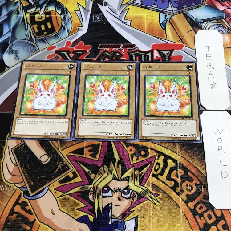 Bunilla 5 Normal, set of 3 Tera