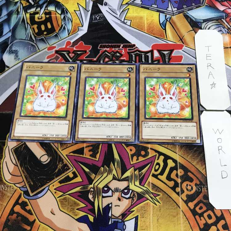 Bunilla 8 Normal, set of 3 Tera