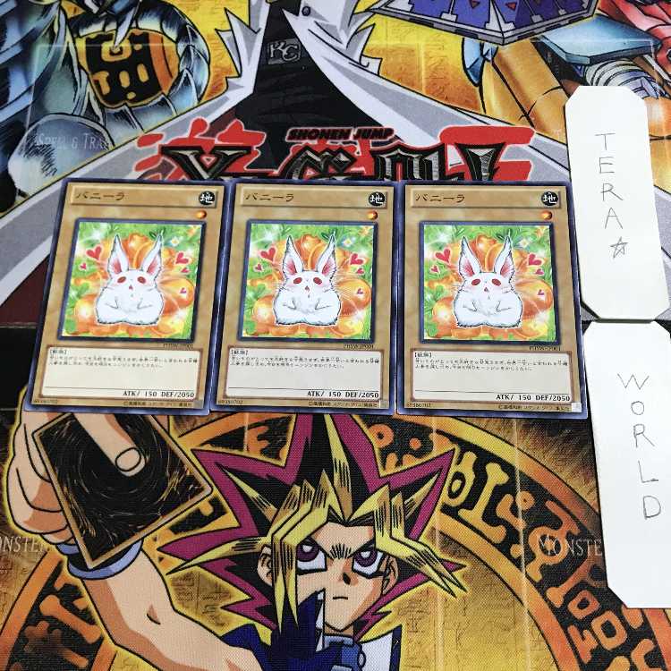 Bunilla 9 Normal, set of 3 Tera