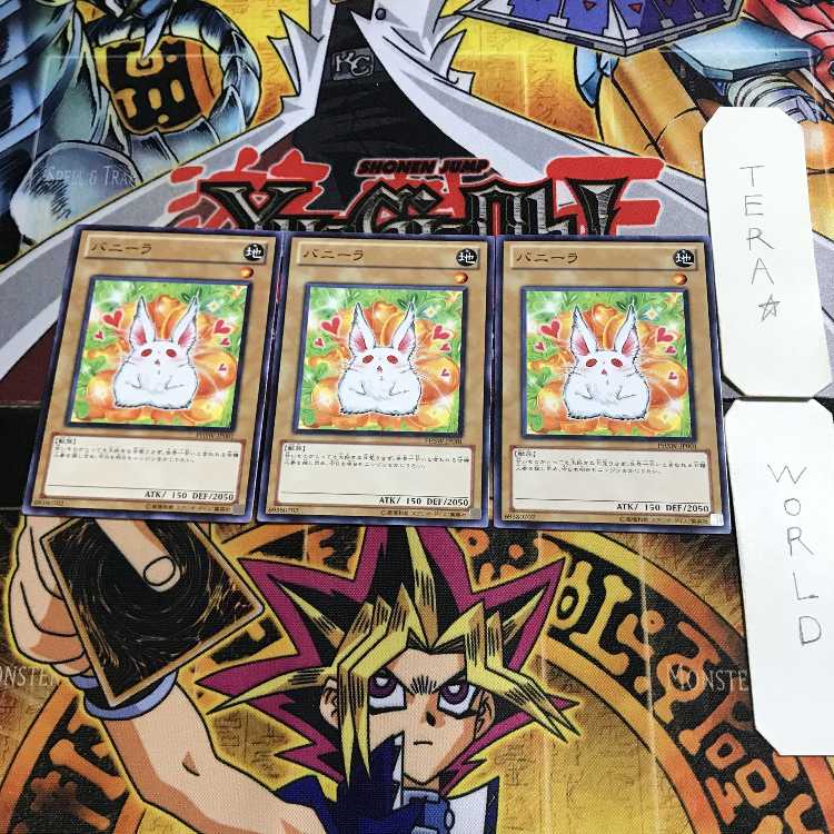 Bunilla 12 Normal, set of 3 Tera