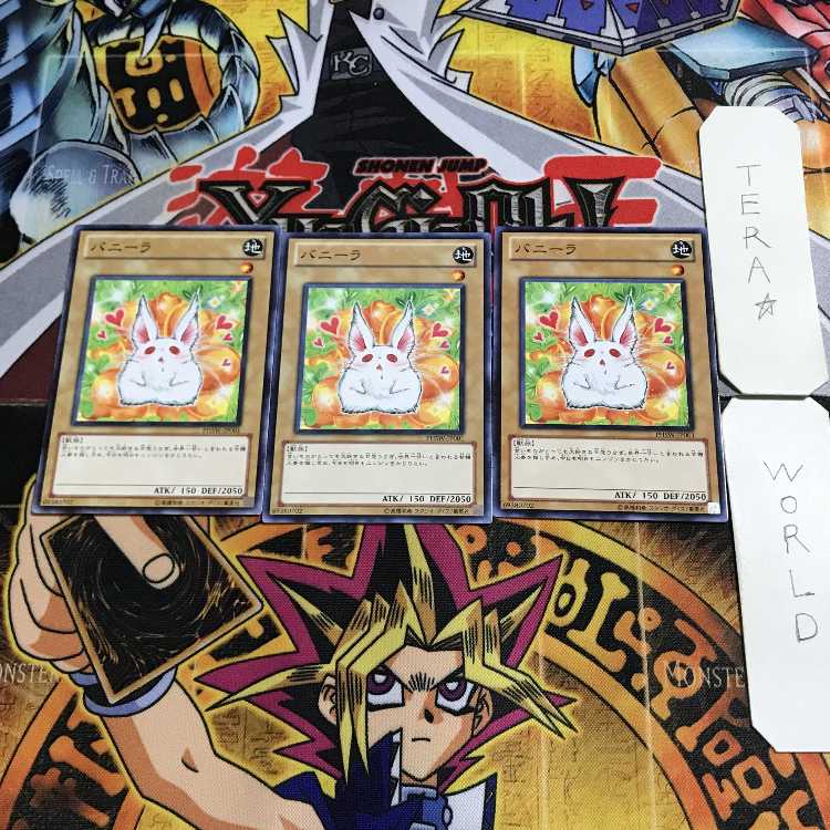 Bunilla 13 Normal, set of 3 Tera