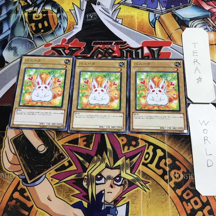 Bunilla 15 Normal, set of 3 Tera