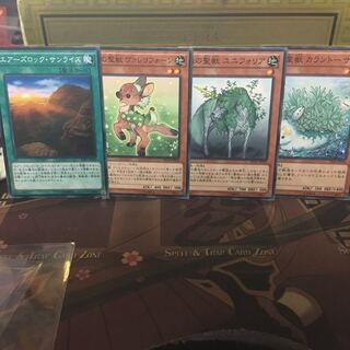 アンコウ エアーズロックサンライズ ヴァレリフォーン ユニフォリア カラントーサ