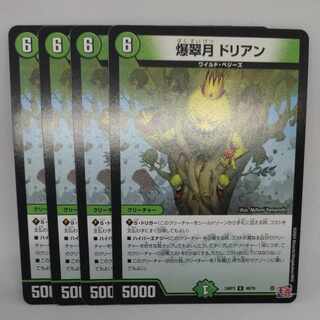 爆翠月 ドリアン U 49/76